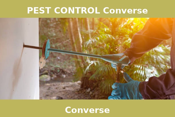 PEST CONTROL Converse